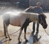 ein Bild aus dem Album