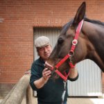 ein Bild aus dem Album